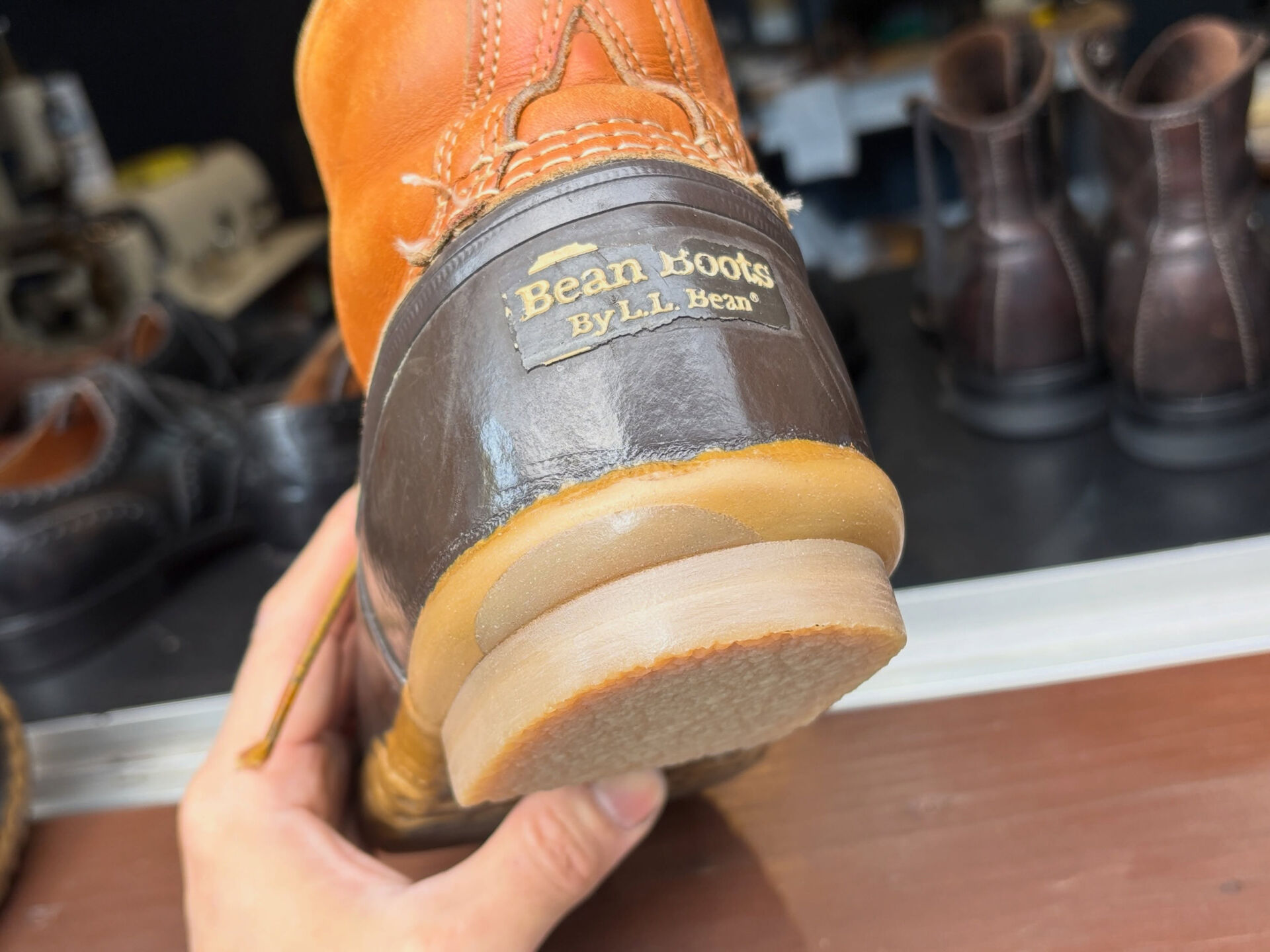L.L.Bean 